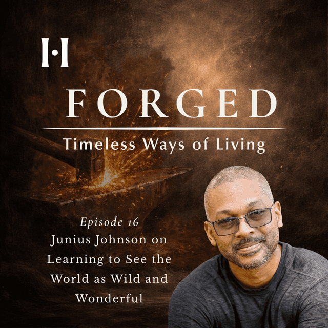 Junius Johnson on Learning to See the World as Wild and Wonderful image