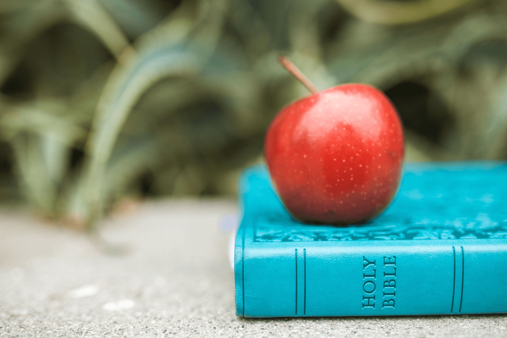 The Classical Christian Choice image