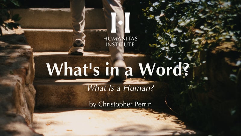 What's in a Word?